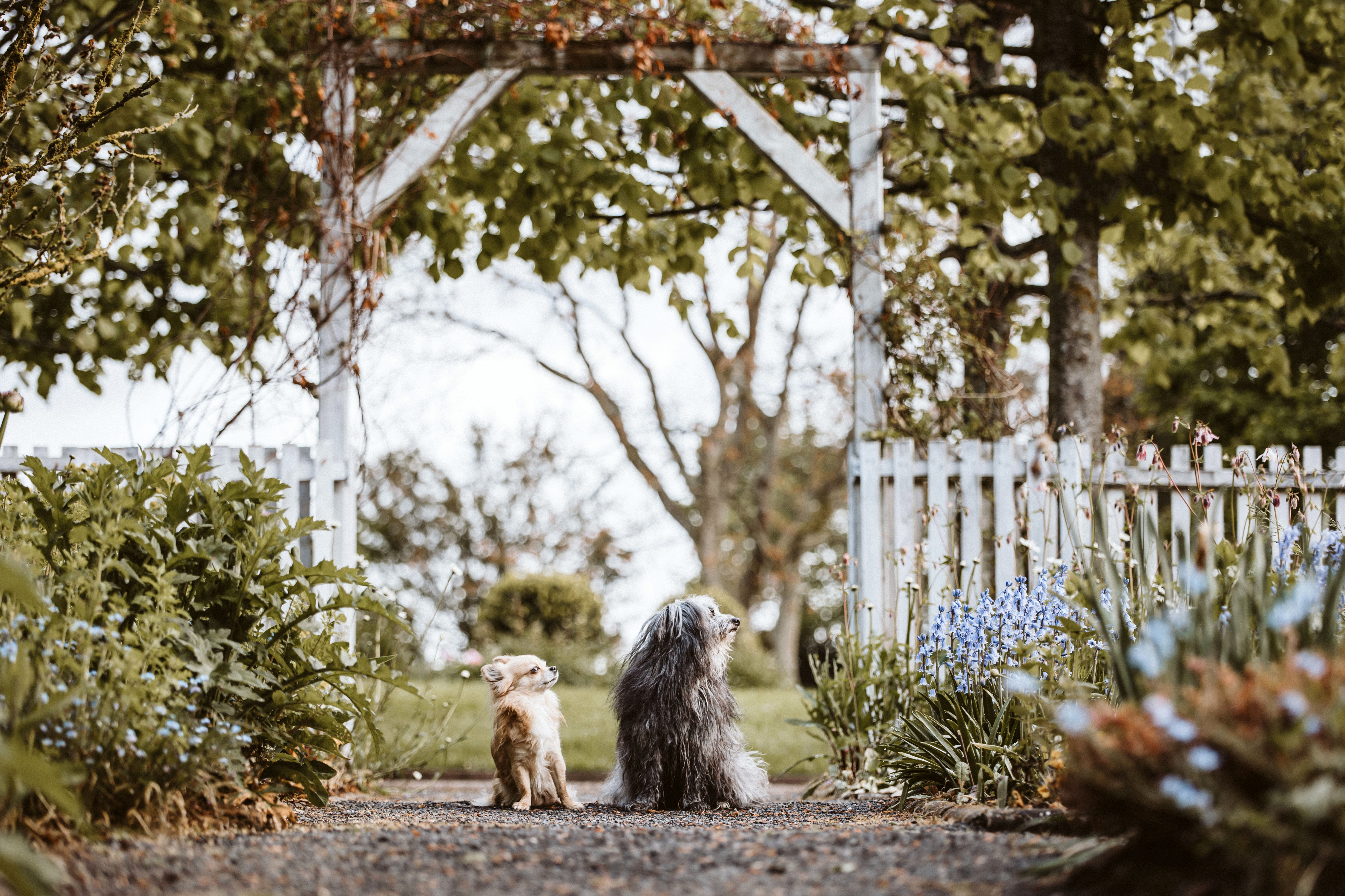 Benni und Mira © Britta Rausch 