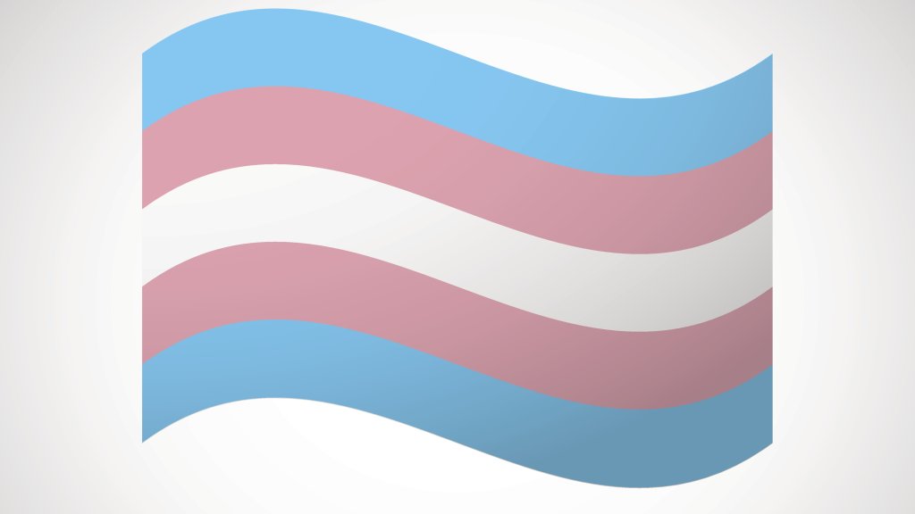 Versteckte Transgender Flagge // © Blablo101
