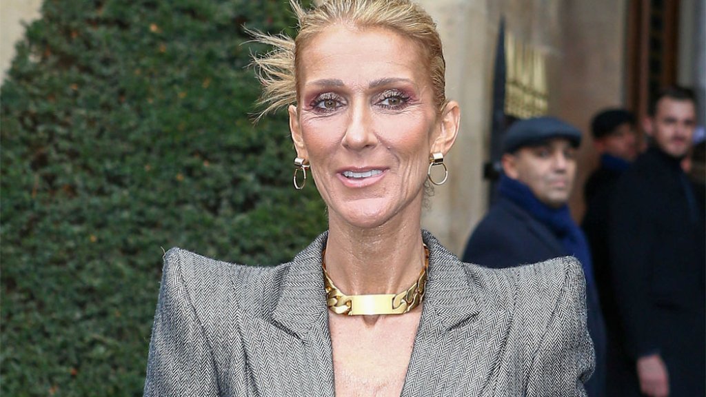 Céline Dion: Vier Shows verschoben