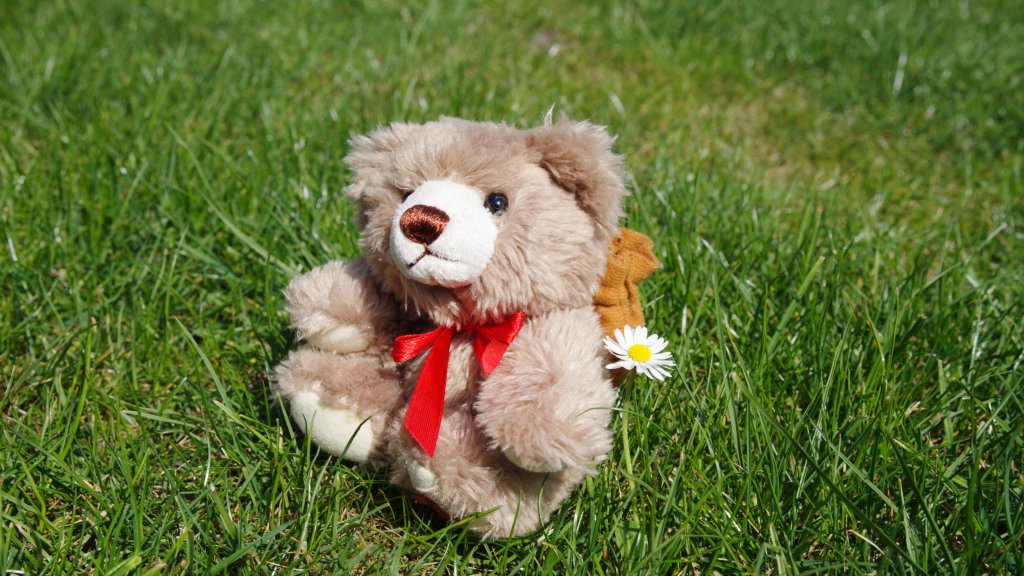 Aids-Teddy 2019 // © Lübecker AIDS-Hilfe e.V.