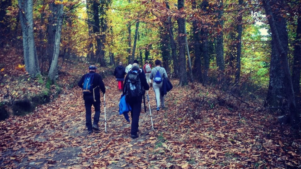 Wandergruppe "Queertal" // © www.queertal.de