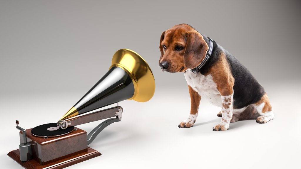 Underdoggies bei den Grammys 2020