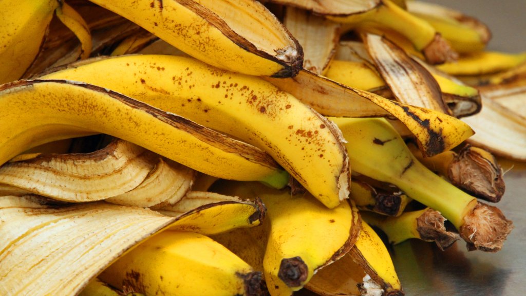 „Hört auf, euch mit Bananenschalen zu befriedigen!“