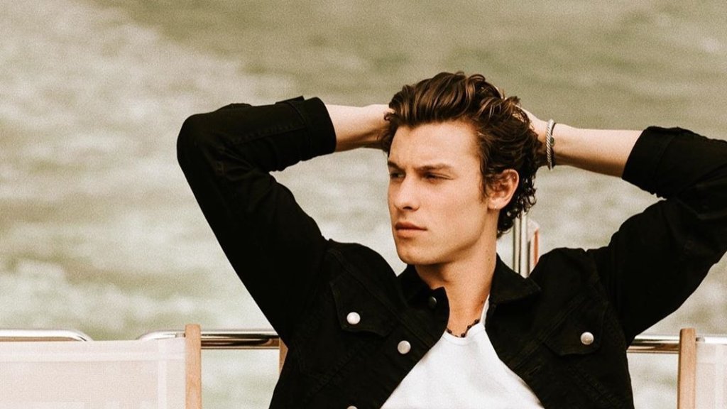 Porno-Fans suchen nach Shawn Mendes