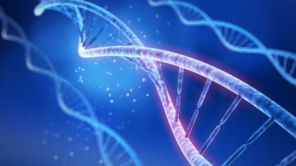 Trans-Identität könnte genetisch kodiert sein