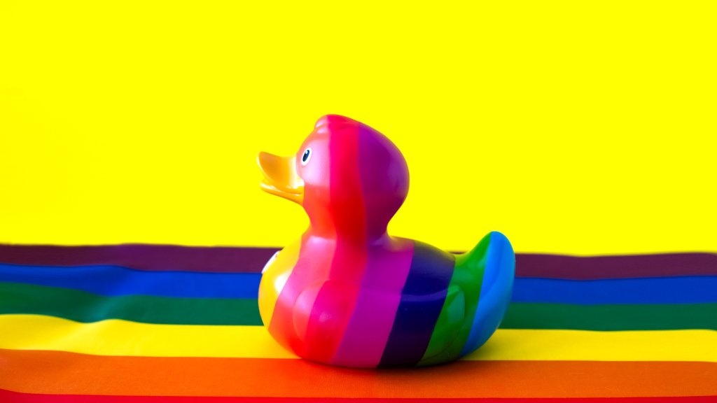 Drama um schwule Enten