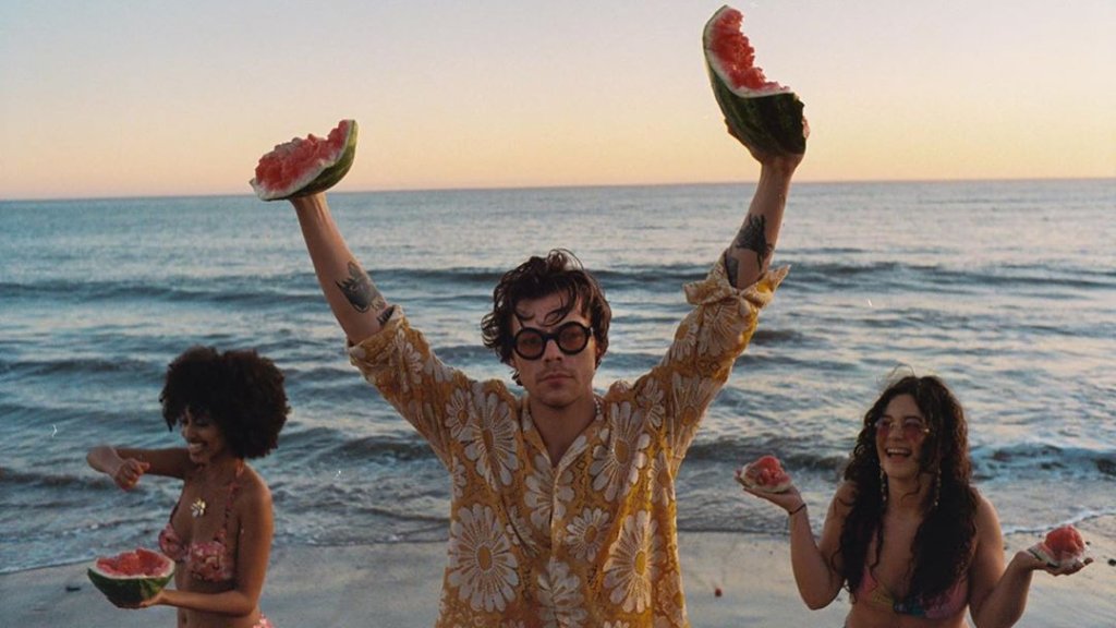 Harry Styles als schwuler Polizist