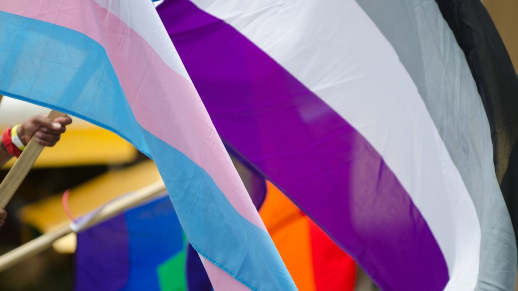 Ein Zehntel der LGBTI*-Jugend ist asexuell
