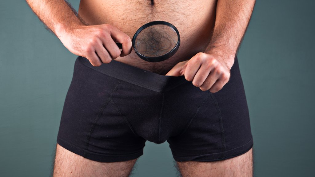 Was ist ein Hornzipfel? // © themacx