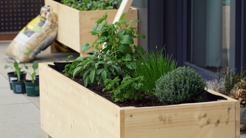 Der Garten für Städter // © TG23