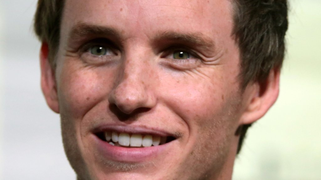 Eddie Redmayne bereut seine Rolle als trans* Frau