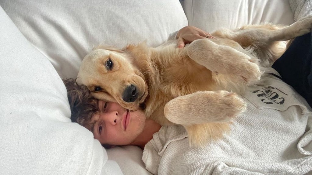 Shawn Mendes erneut des Schwulseins bezichtigt