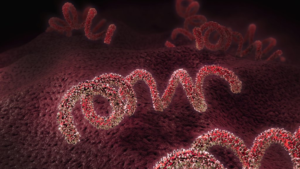 Syphilis unaufhaltsam? // © Christoph Burgstedt