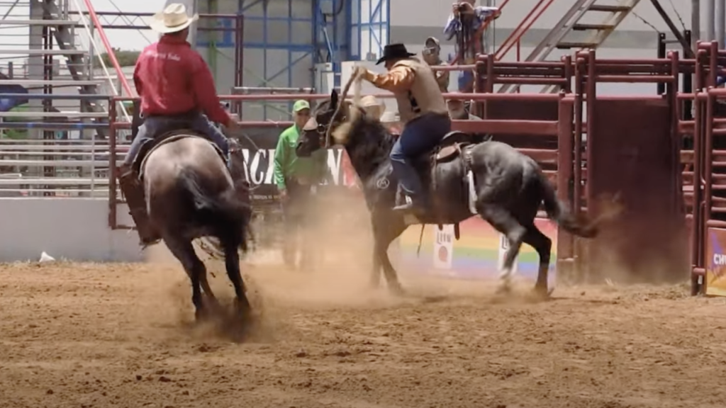 Mit Gay Rodeo für Inklusion und gegen Stereotypen
