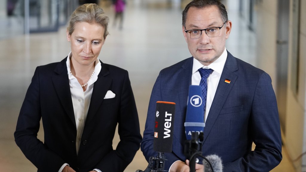 Das Ende eines Selbstbetrugs – AFD in der Kritik //© IMAGO / Political-Moments