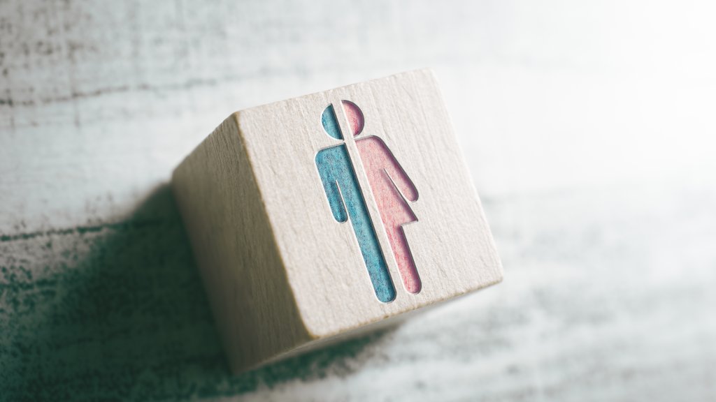 Briten blicken skeptisch auf trans-Rechte