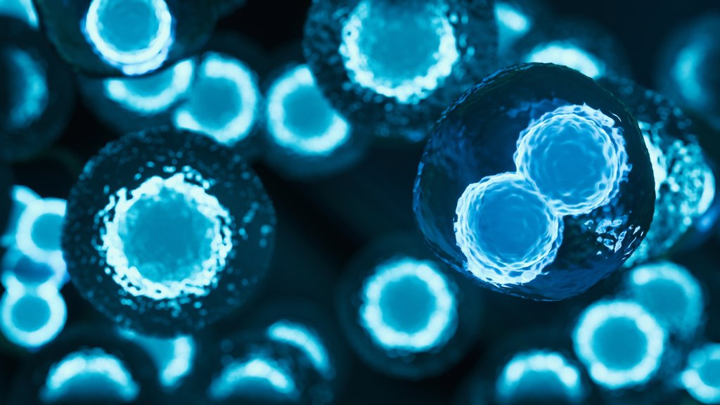 Fünfter Fall von HIV-Heilung ist bestätigt