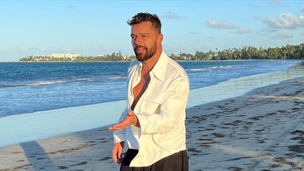 Ricky Martin verklagt Neffen, der ihn des Missbrauch bezichtigte