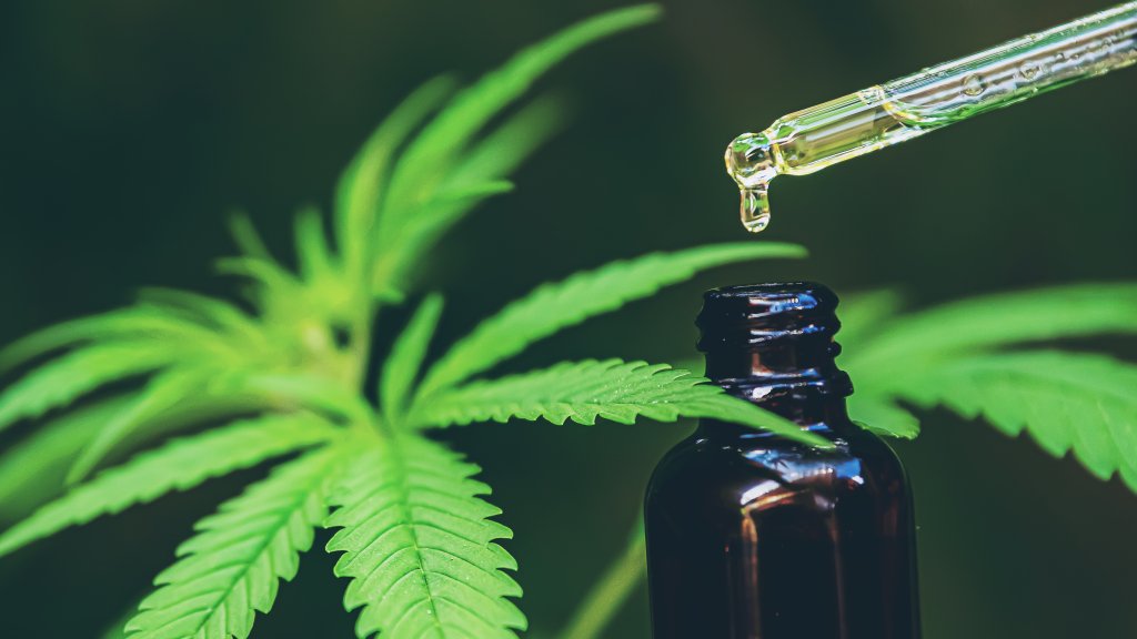 Nutzen von CBD in Europa und was man darüber wissen sollte