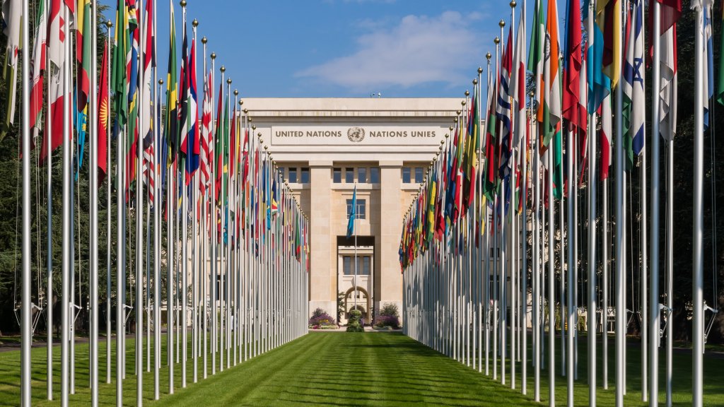 Vereinte Nationen und Self-ID