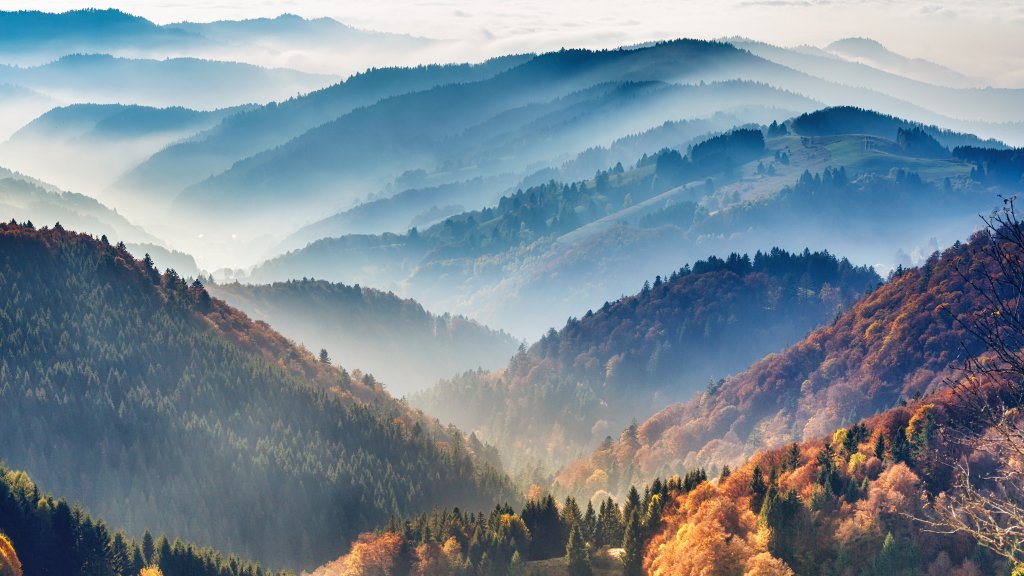 Frühling im Schwarzwald
