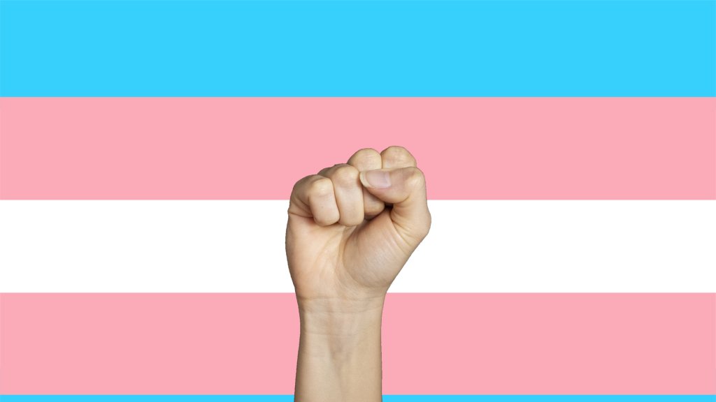 Für mehr trans* Sichtbarkeiten // © BUKET TOPAL