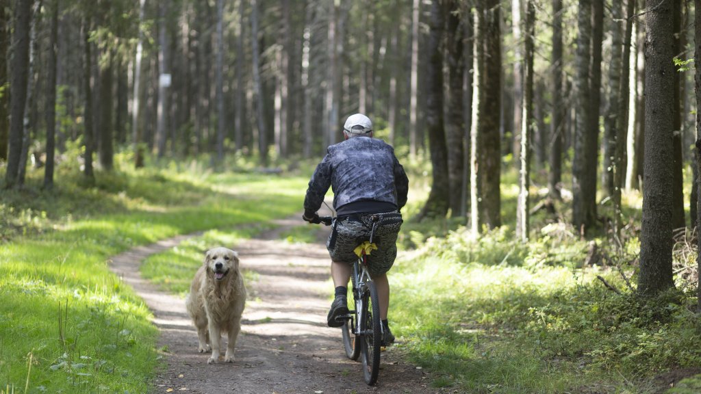 Schwules Paar von Hund gebissen und beleidigt