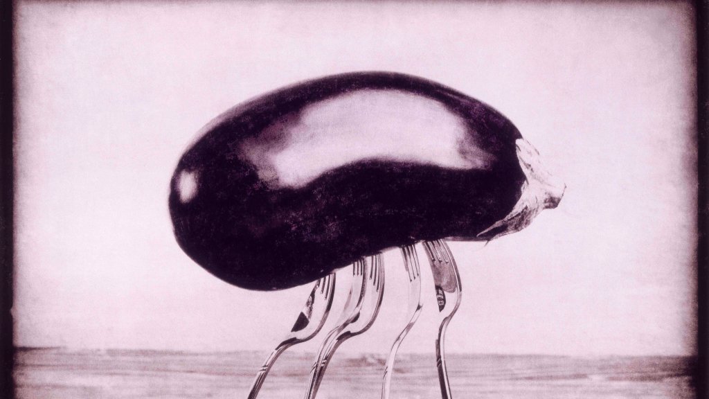 Die seidene Leiter