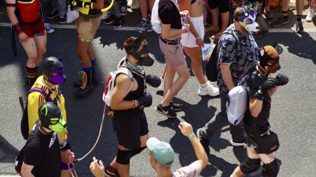 Polizei verbietet Puppys beim CSD!