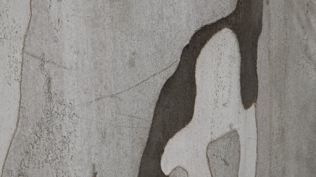Ausstellung Ludger Hegerfeld „o.T.“