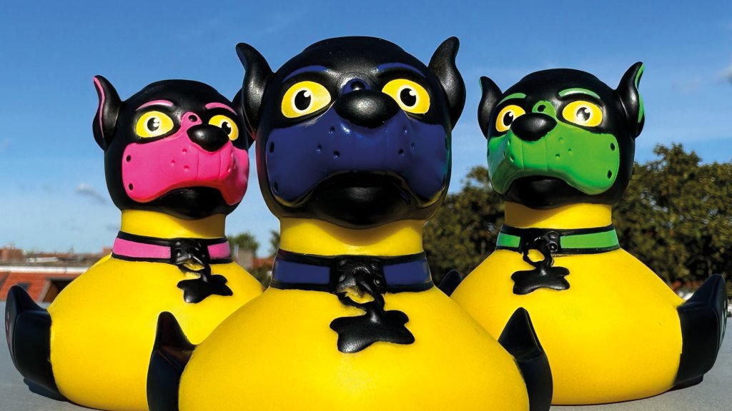 BIST DU BEREIT FÜR EINE PUPPYDUCK?