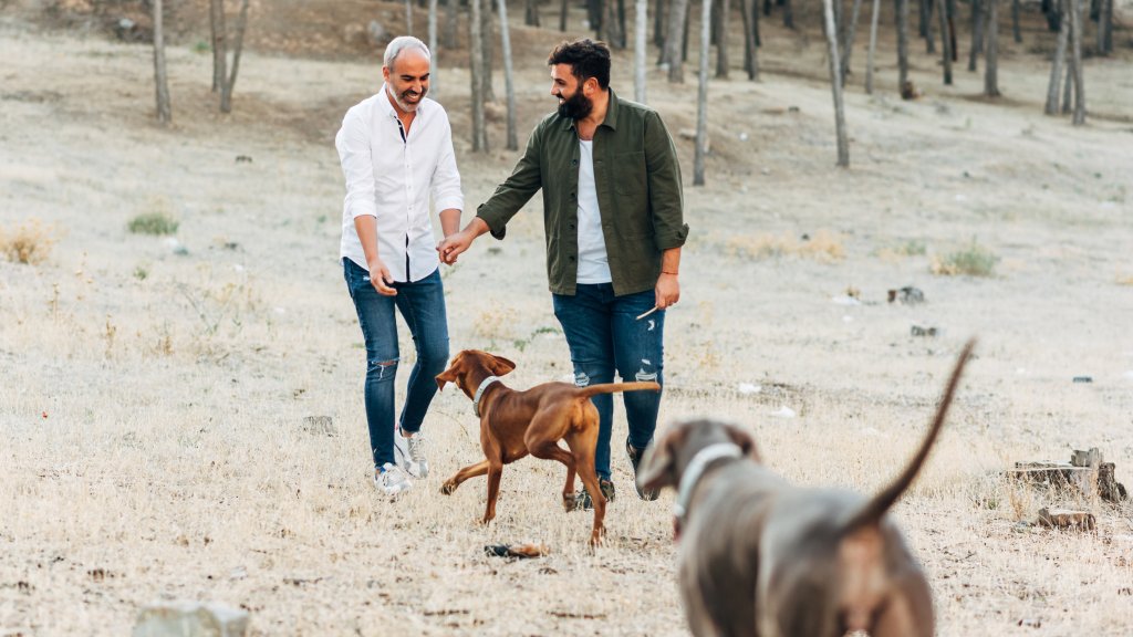 Die Liebe auf den Teller bringen: Barfen für Hunde und Katzen