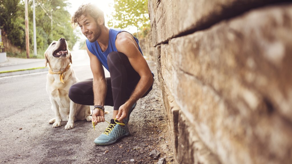 So gesund sind Tiere für den Menschen