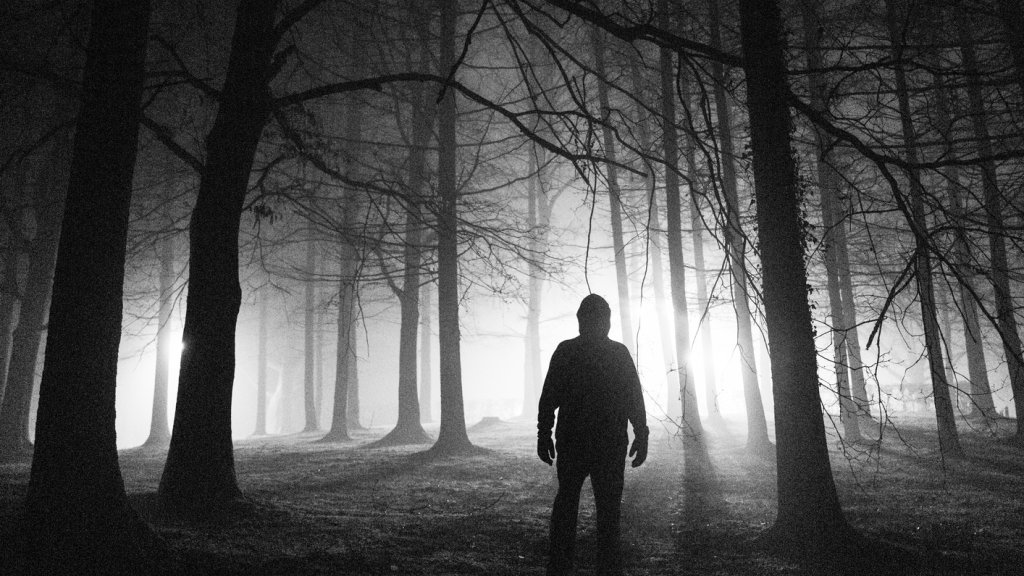 Attacke im Wald