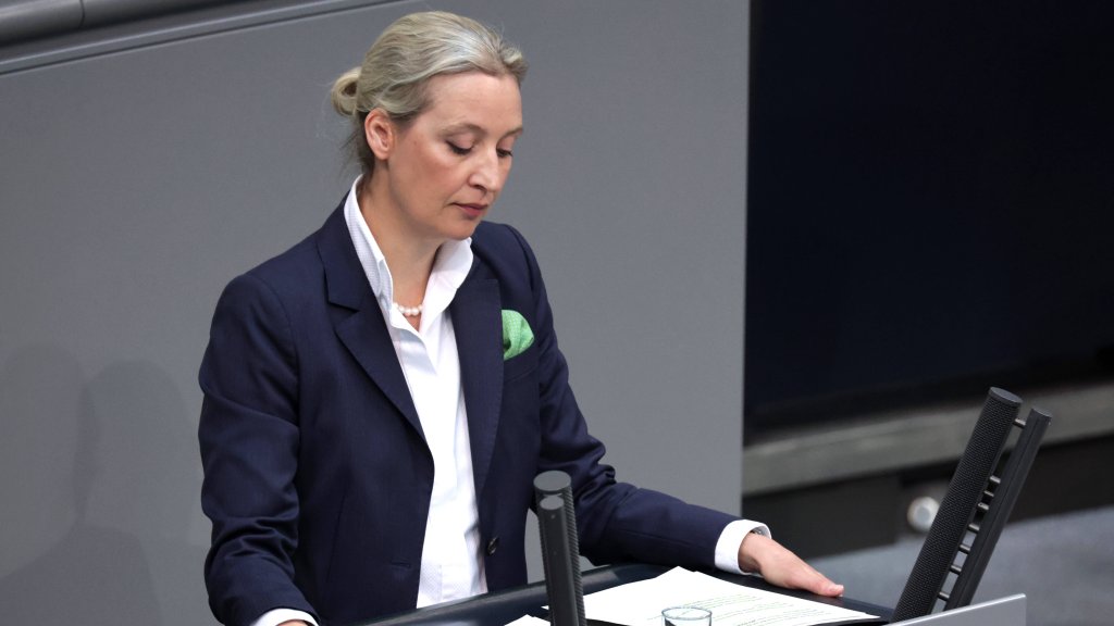 Scharfe Kritik an Weidel