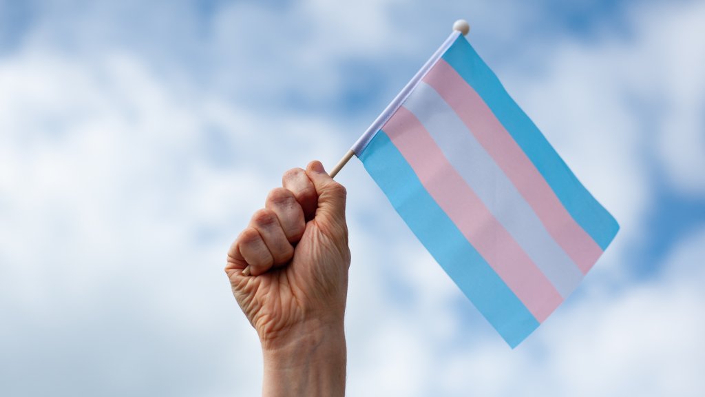 Trans Day of Visibility