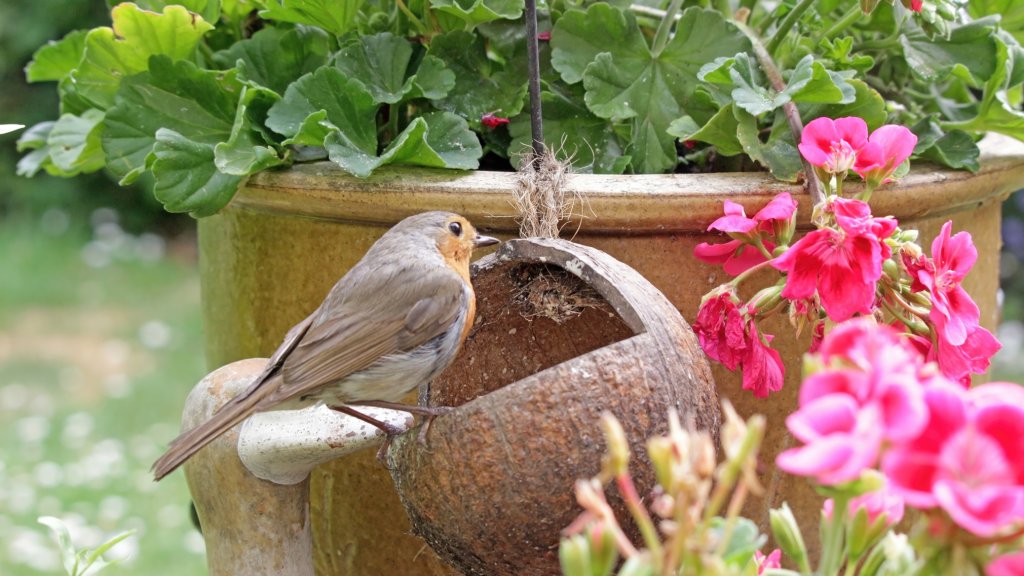 Frische Garten-Trends 2025