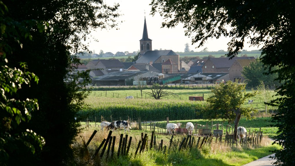 Queere Jugendliche in Flandern