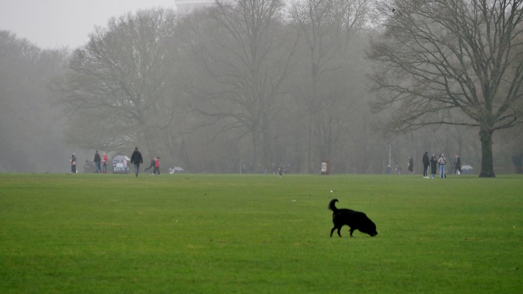 Stadtpark // © clarini