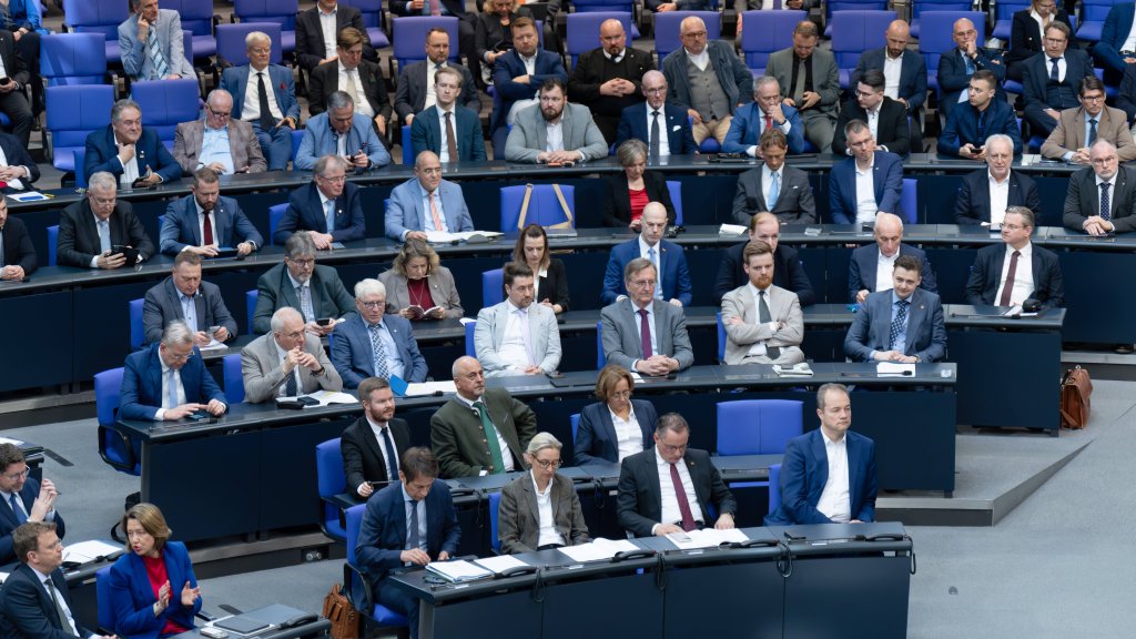 AfD -Antrag im Bundestag 