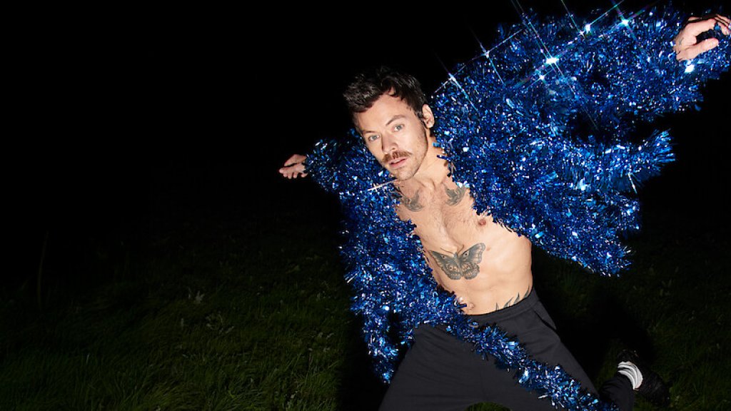 Harry Styles über Ruhm