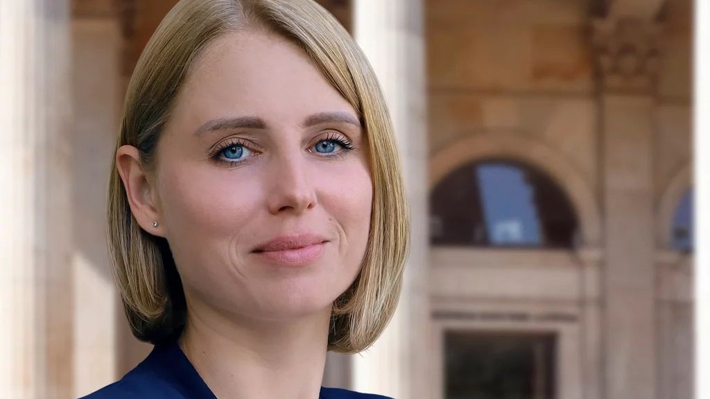 Braunschweig: Keine Strafverfolgung für AfD-Abgeordnete