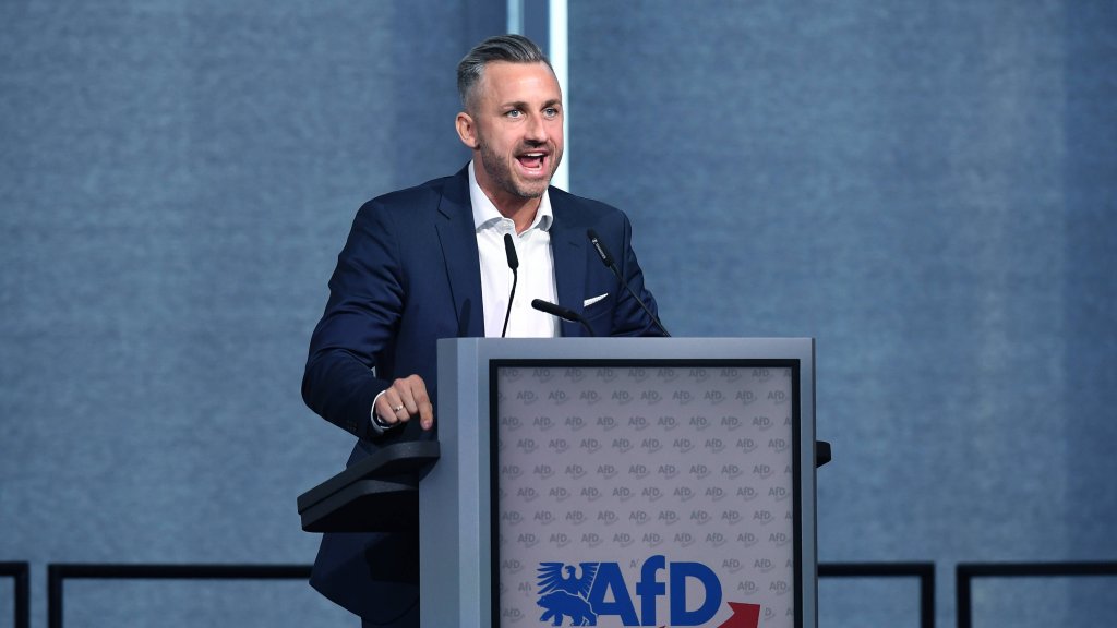 AfD-Sachen-Anhalt
