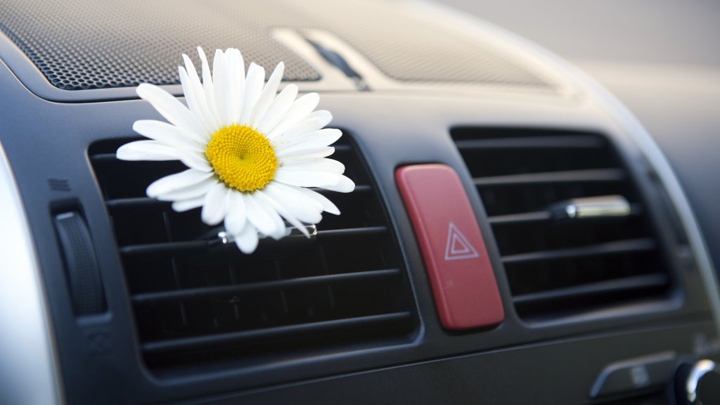 Schwul durch Autoluft­erfrischer