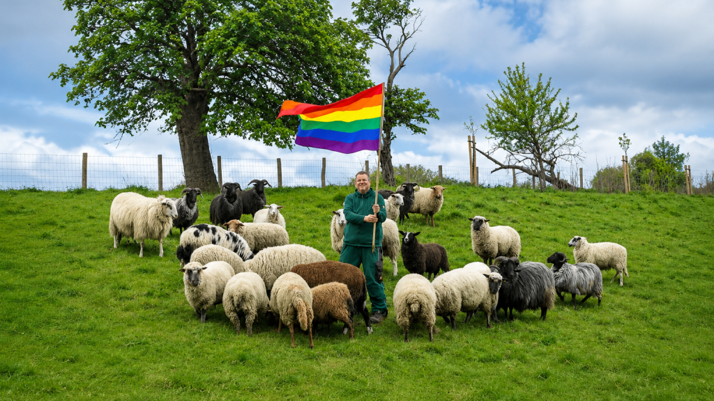Projekt Rainbow Wool