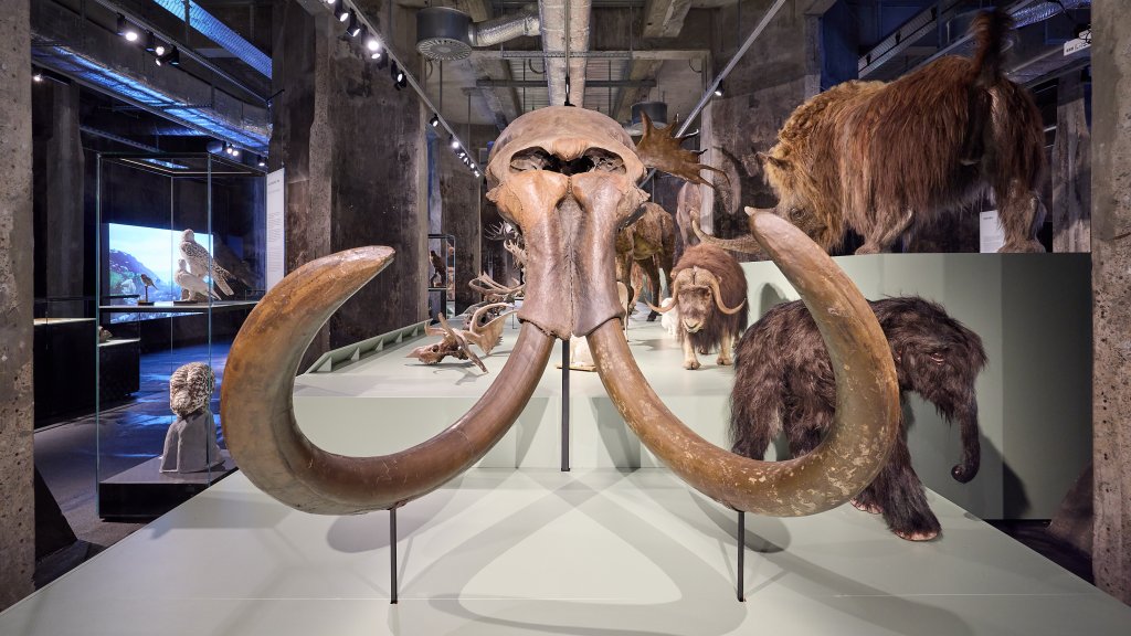 Ruhr Museum Essen 
