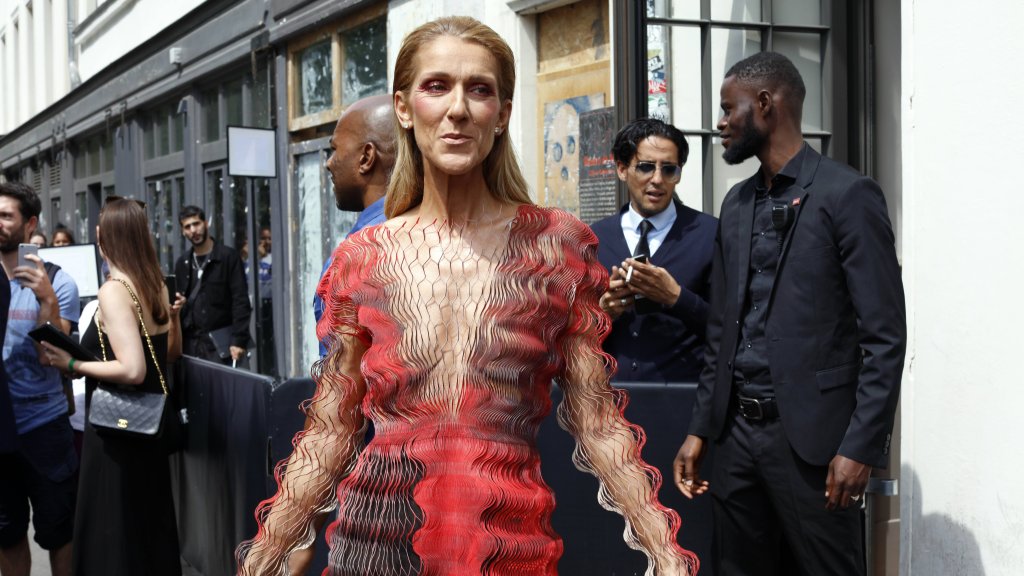 TV-Geschichte über Celine Dion 