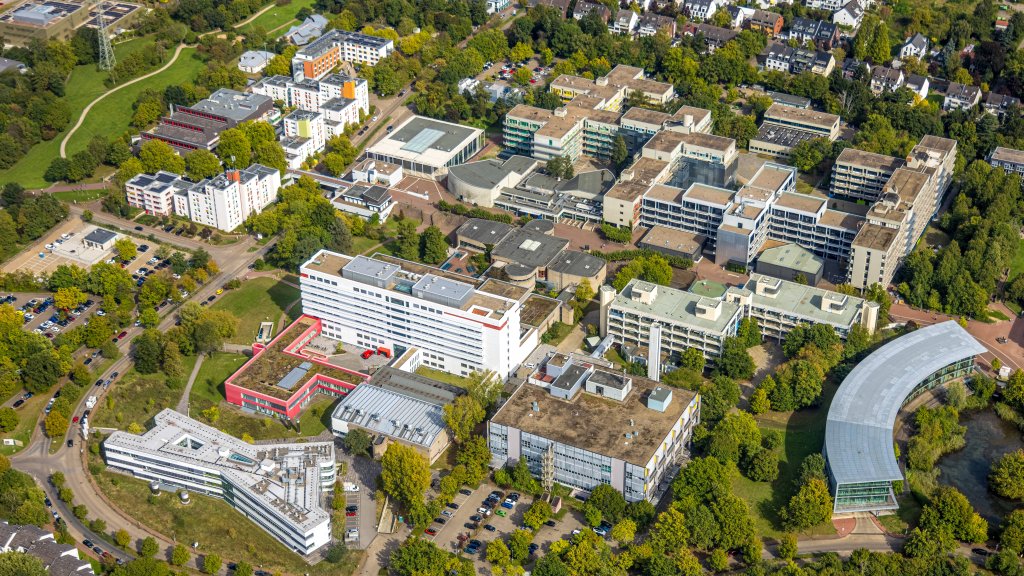 Proteste gegen Uni-Vorlesung
