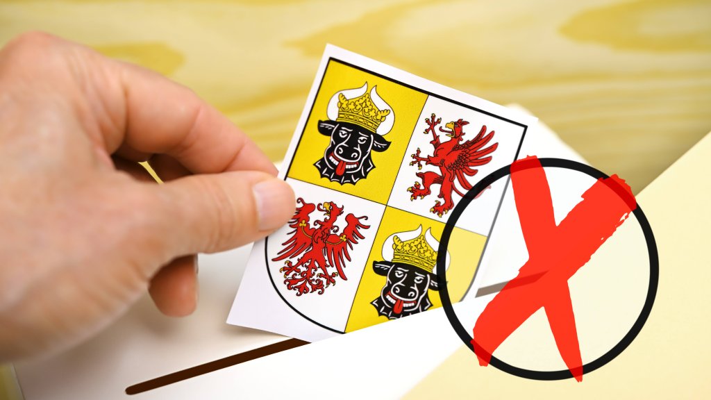 Wahlprüfsteine des LSVD+