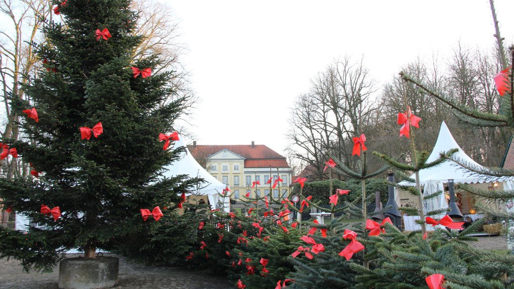 Archivmotiv des Veranstalters: Weihnachtsbäume mit roten Schleifen und Marktstände vor dem Herrenhaus auf Gut Emkendorf.